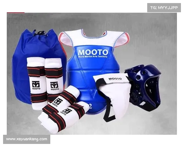 泰安搏击公开赛少儿组护具改良有效降低伤病率提升赛事安全性